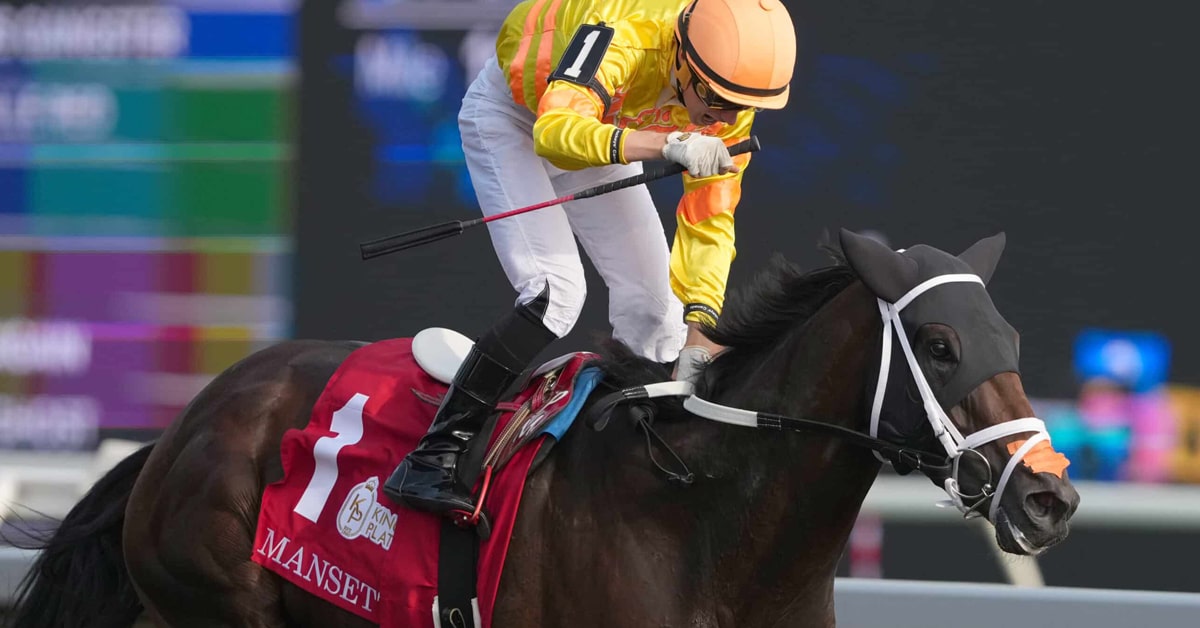 A dark bay horse winning a race at Woodbine.