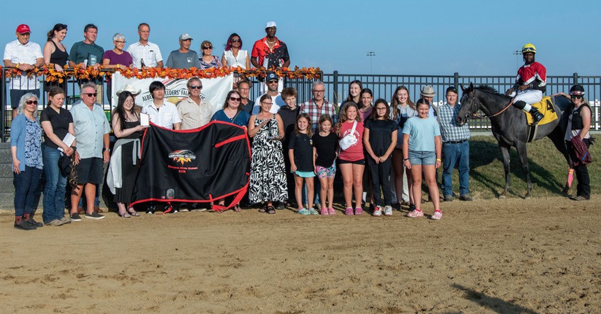 A large group of people in the winners circle with a grey horse.