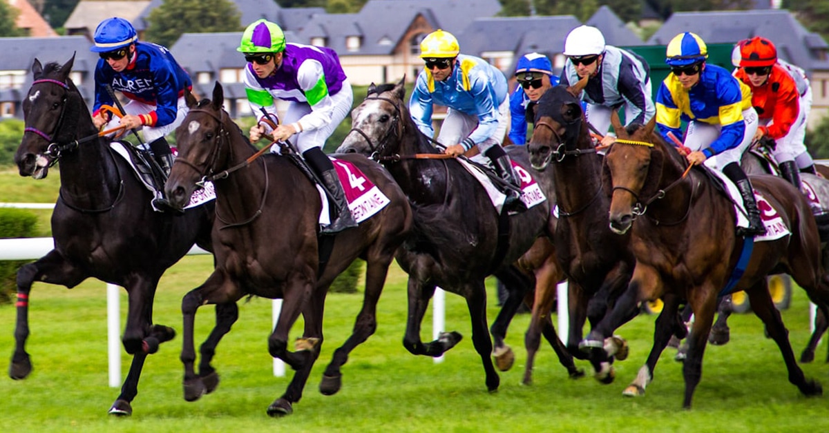 Horses racing on the turf.