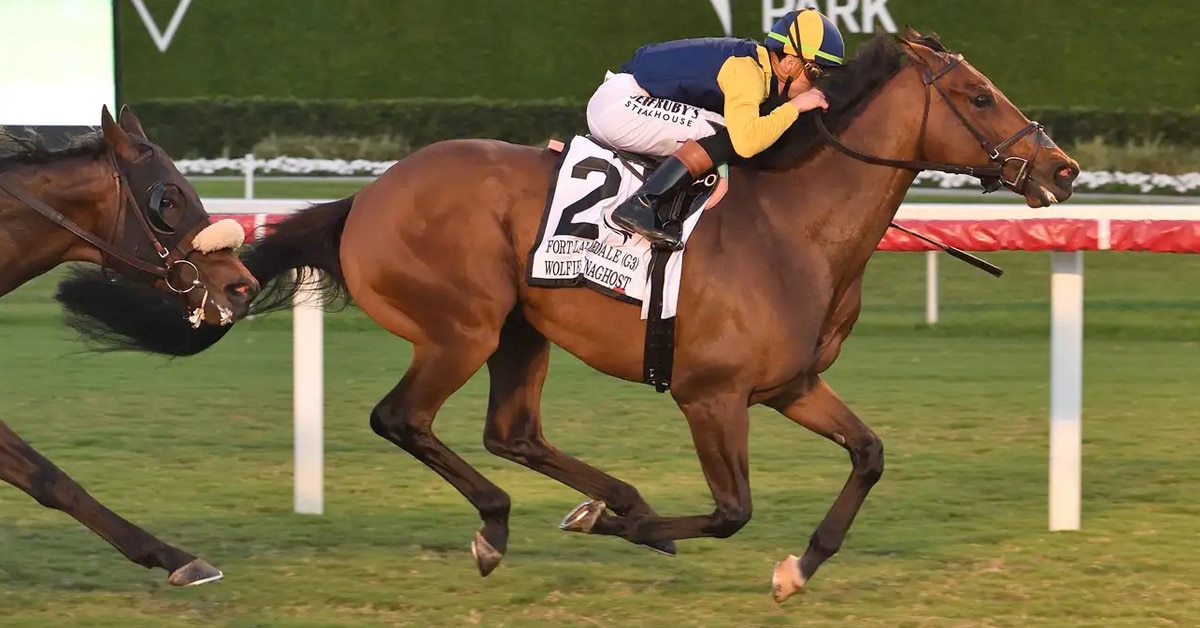 A bay horse winning a race in Florida.