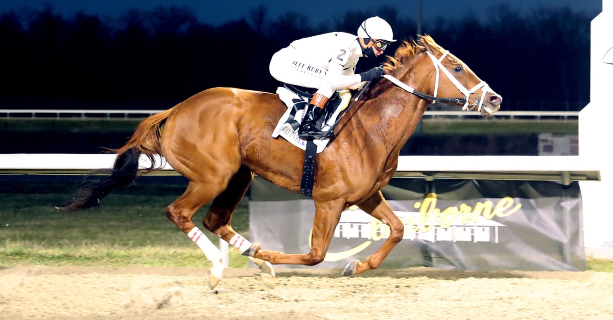 A chestnut mare winning a race in Kentucky.