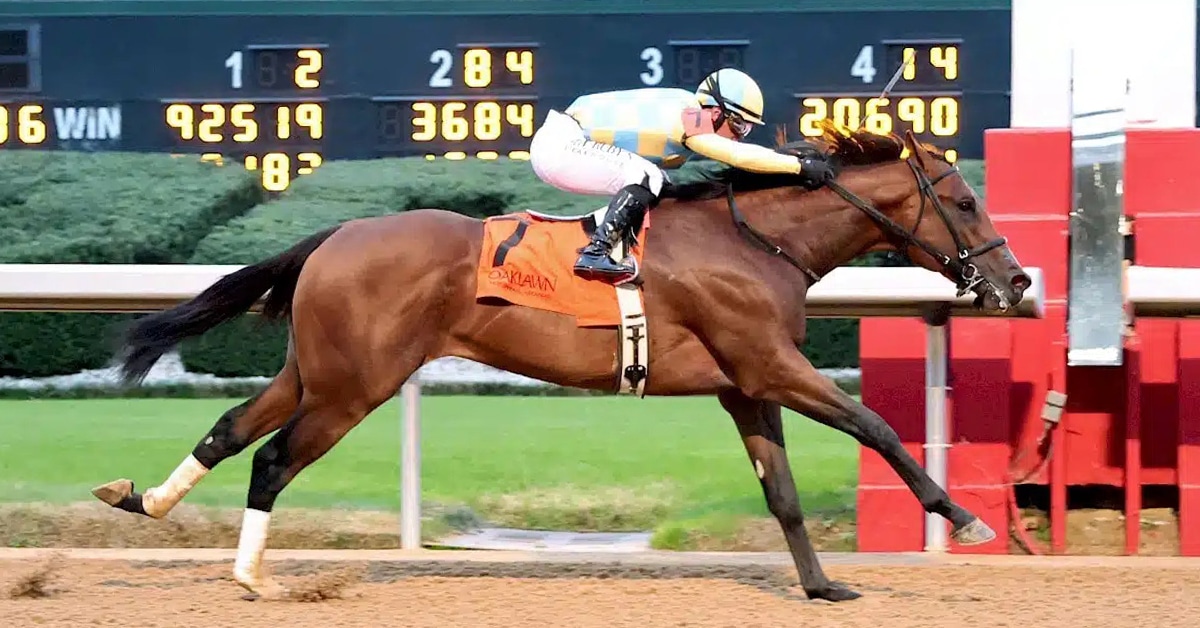 A bay horse winning a race at Oaklawn.