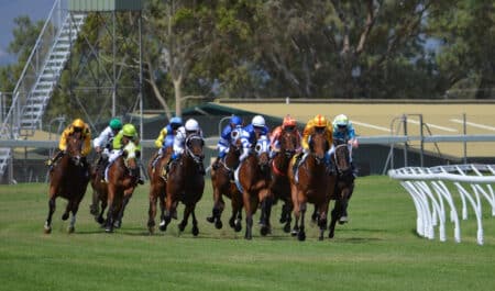Horses racing on the turf.