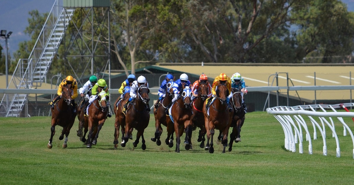 Horses racing on the turf.