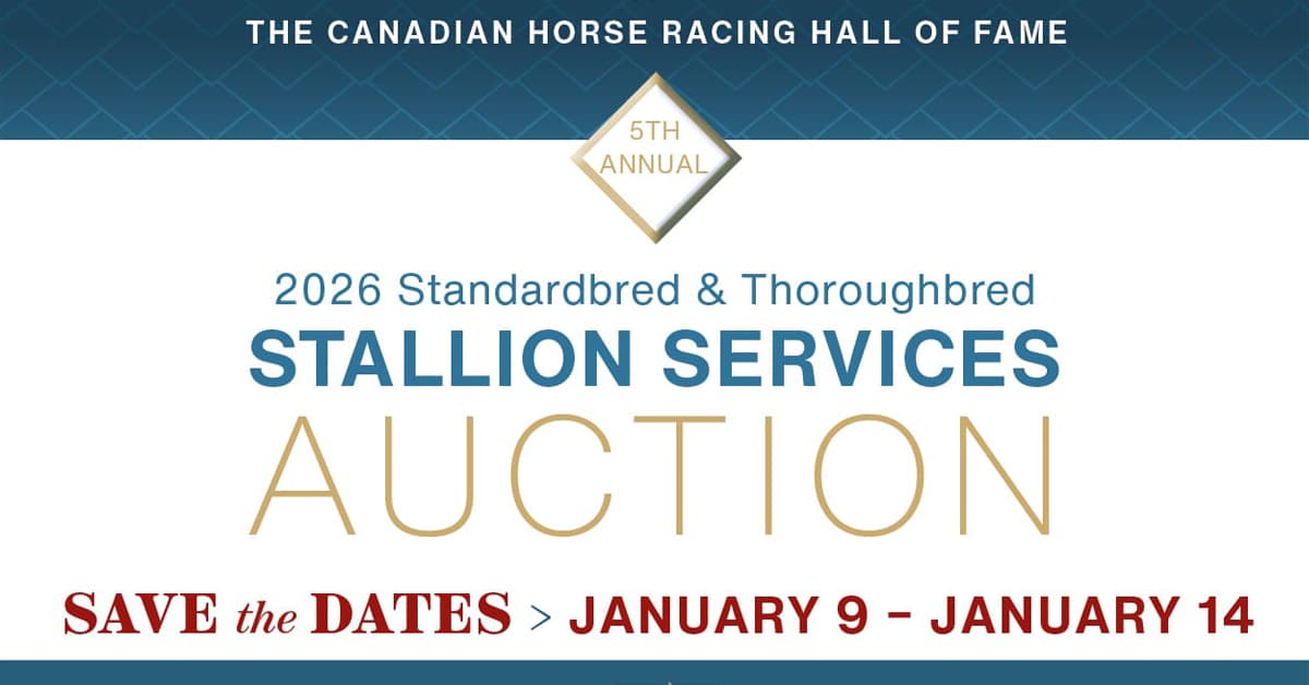 Stallion Service auction poster.