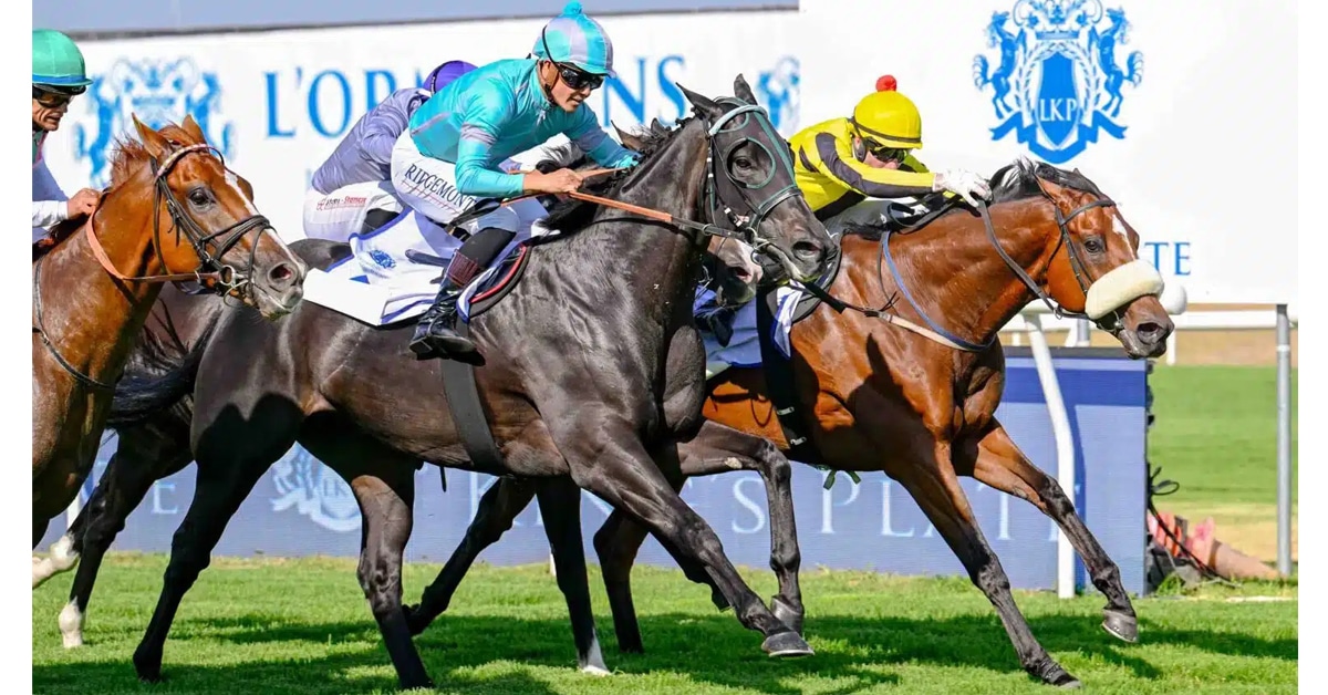 Horses racing in South Africa.