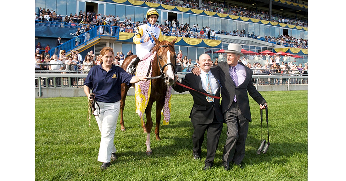 Three people leading a chestnut horse and jockey to the winners circle.