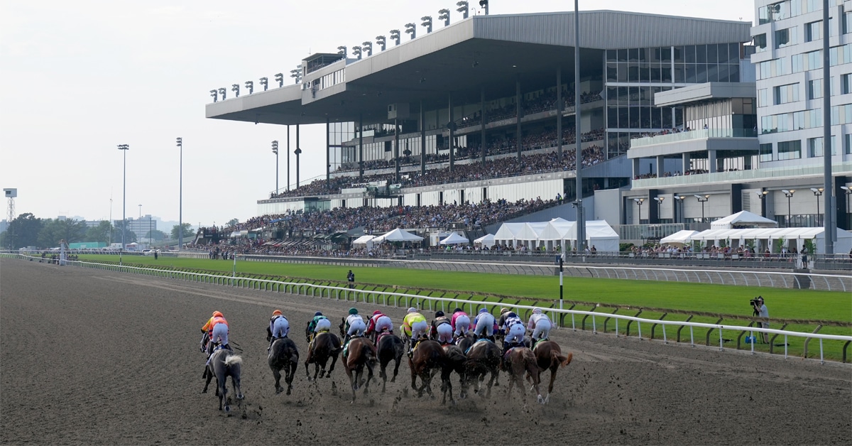 Horses leaving the gate at Woodbine Racetrack.