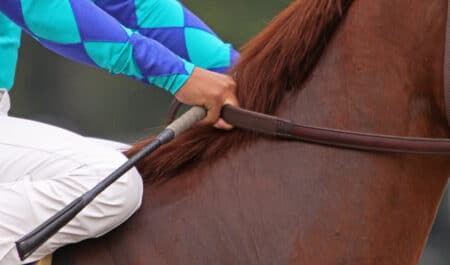 A jockey holding a whip, sitting on a chestnut racehorse.