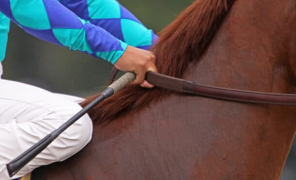 A jockey holding a whip, sitting on a chestnut racehorse.