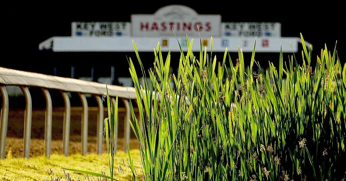 Shot of Hastings at night.