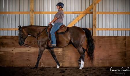 A woman riding a dark chestnut in a western saddle, in an arena.