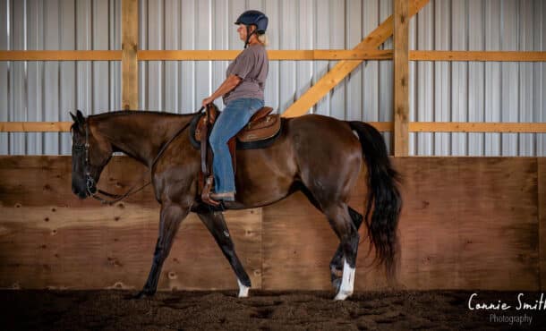 A woman riding a dark chestnut in a western saddle, in an arena.