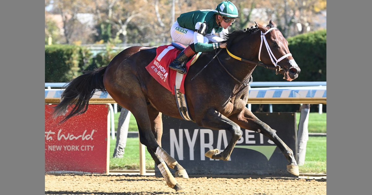A bay horse winning a race in New York.