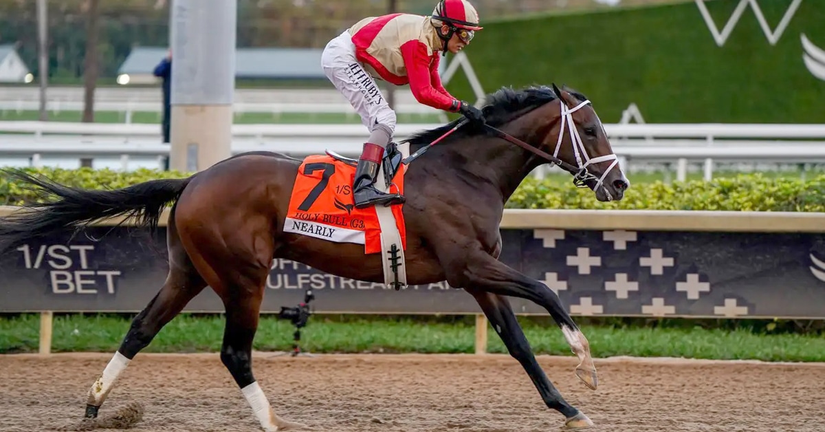A bay horse winning a race at Gulfstream.