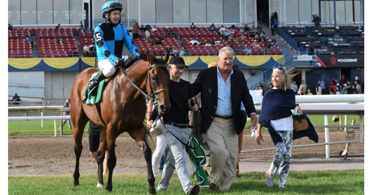 Two men and a woman leading a horse and jockey into the winners circle at Woodbine.