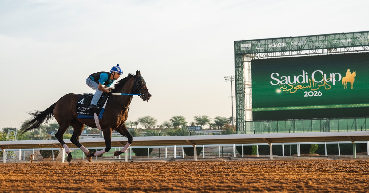 A bay horse galloping on the track in Riyadh.