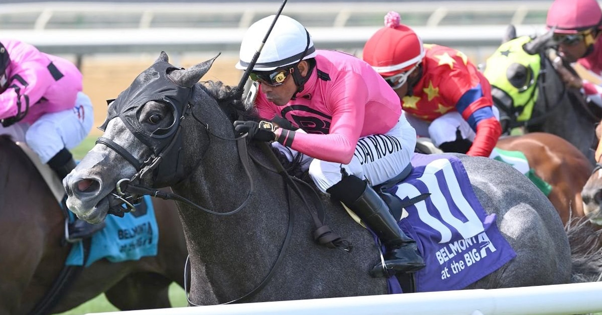 Horses racing in New York.