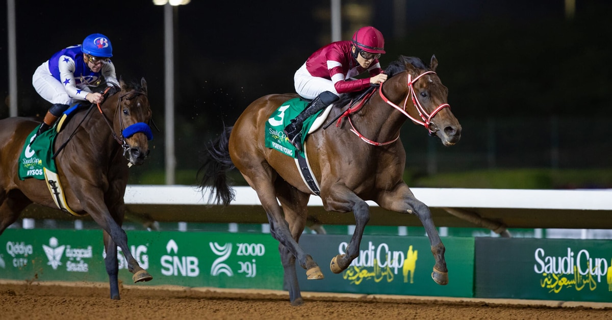 A bay horse winning a race in Saudi Arabia.