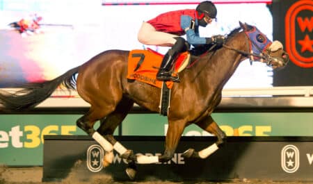 A bay horse winning a race at Woodbine.