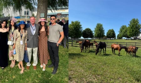 A group of people at Woodbine Racetrack in the walking ring; a group of mares and foals in a pasture.