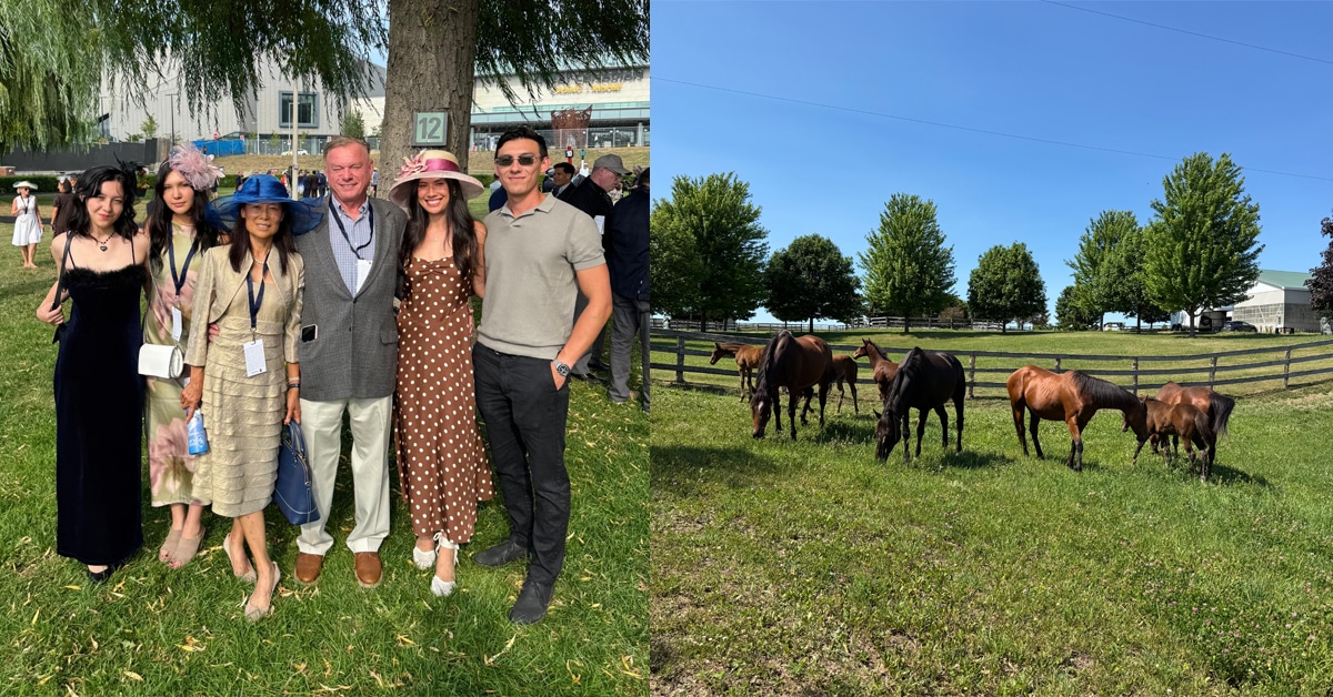 A group of people at Woodbine Racetrack in the walking ring; a group of mares and foals in a pasture.