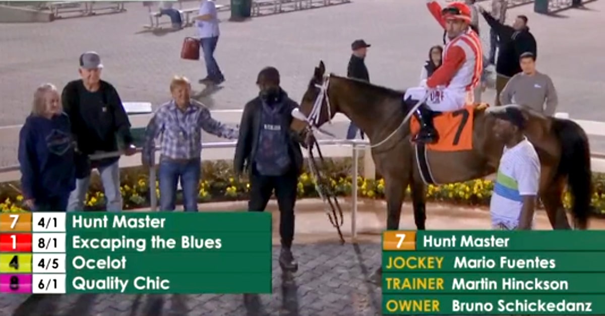 People standing in the winners circle with a bay horse.
