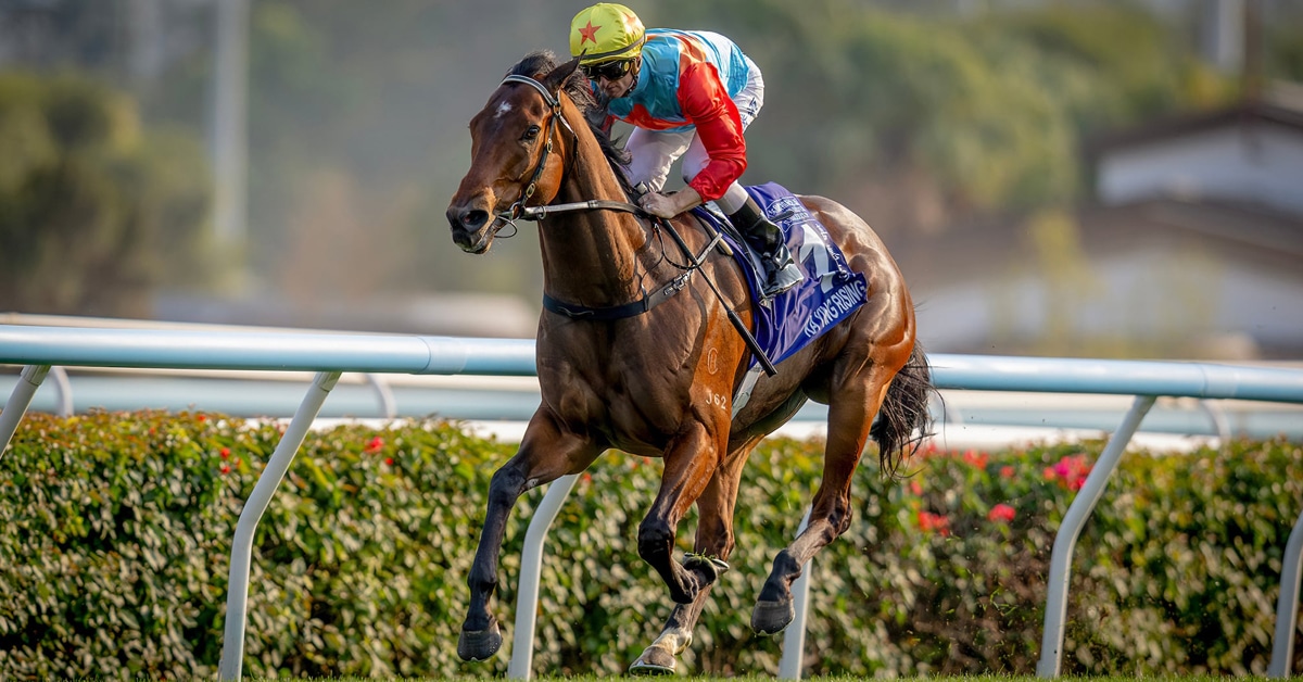 A bay horse winning a race on the grass at Sha Tin.