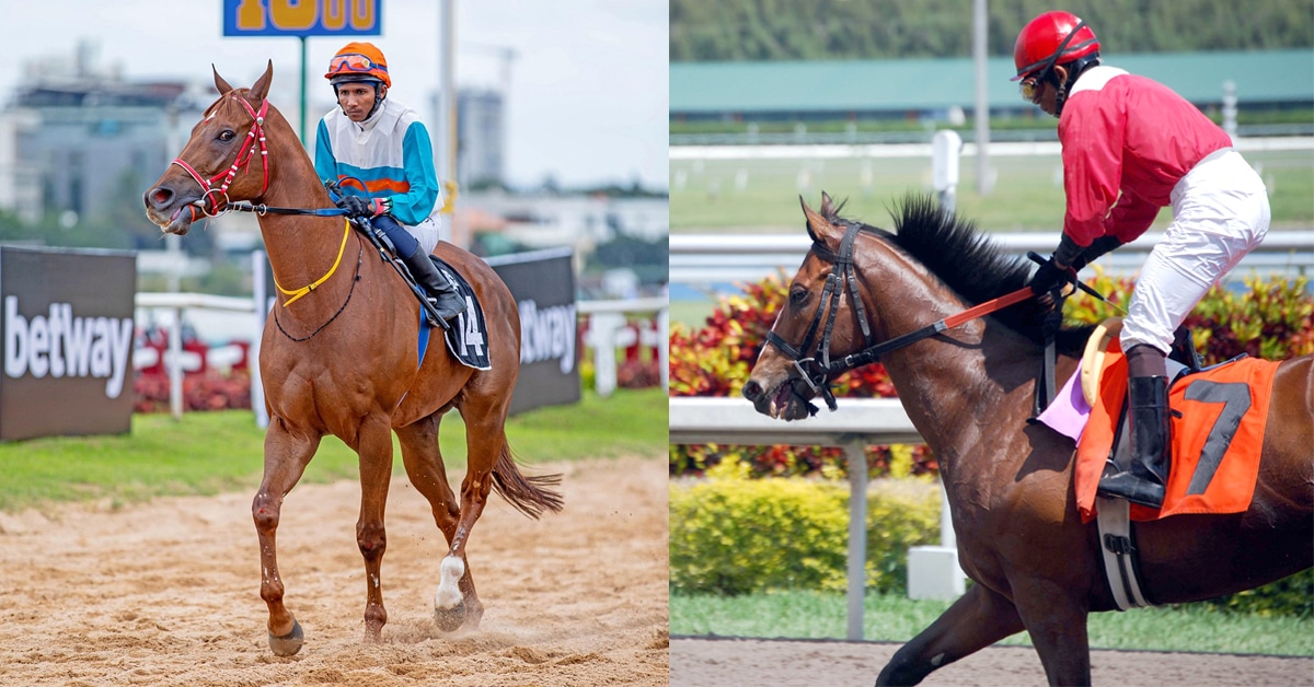 Two images of jockeys on trotting racehorses.