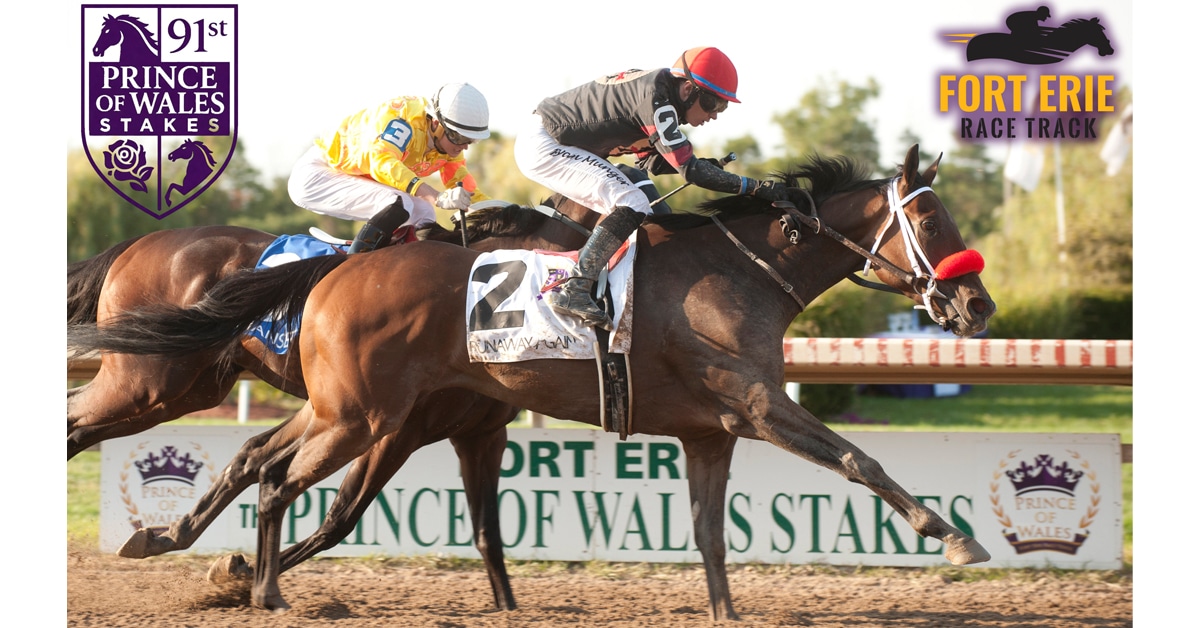 Horses racing at Fort Erie.