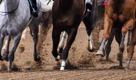 Close-up of horse's legs racing on a dirt track.