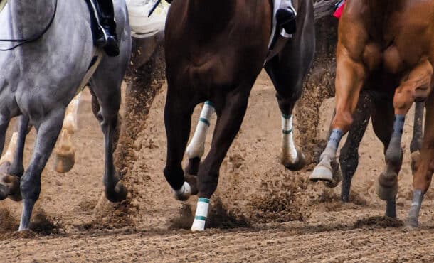 Close-up of horse's legs racing on a dirt track.