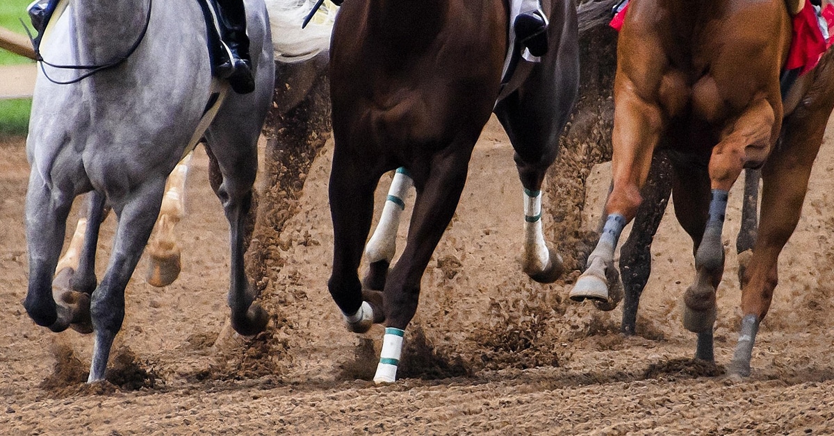 Close-up of horse's legs racing on a dirt track.