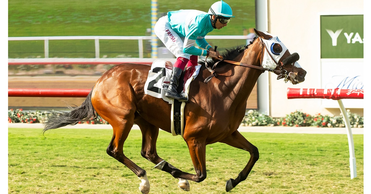 A chestnut horse winning a race in California.