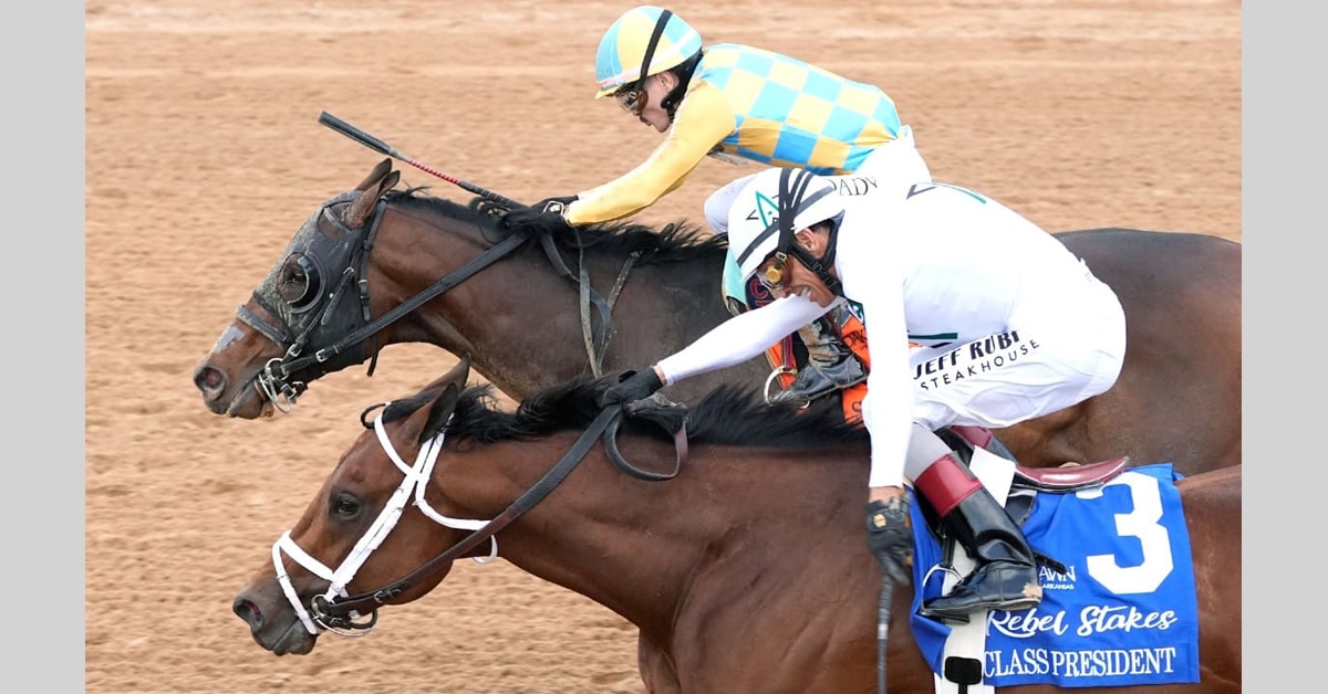 Horses nose-to nose, racing to the wire.