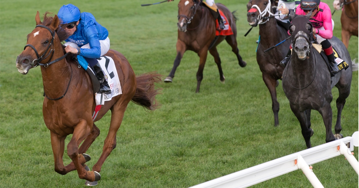 Horses racing on the turf at Woodbine.