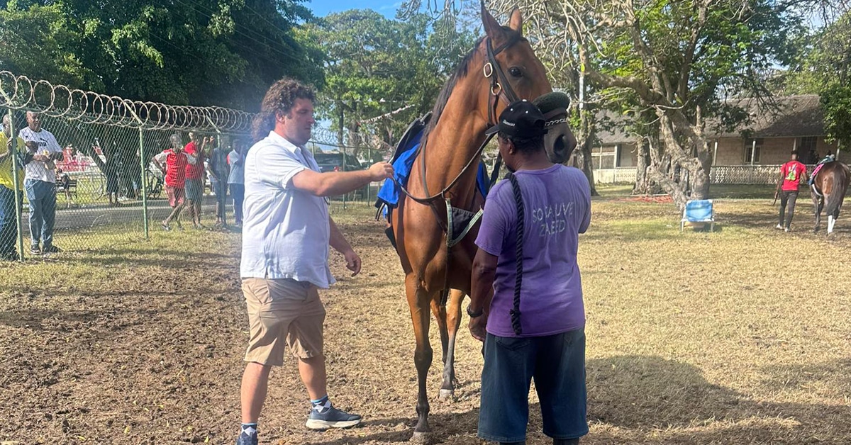Two men standing with a bay racehorse at a track in Barbados.