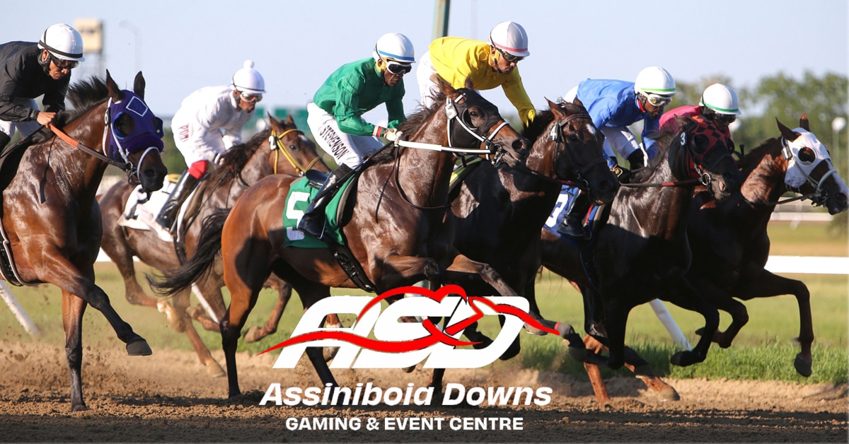 Horses racing at ASD.