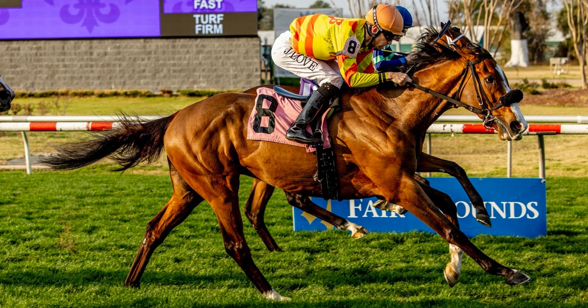 A bay horse winning a race at Fair Grounds.