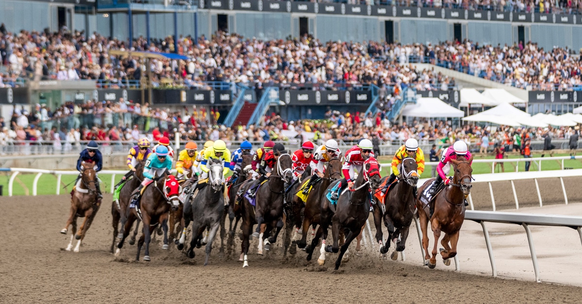 Horses racing around the first turn at Woodbine.
