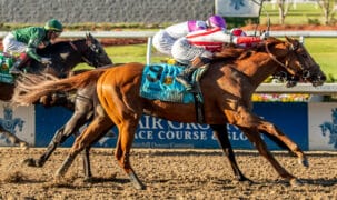 A jockey winning a race on a chestnut racehorse.