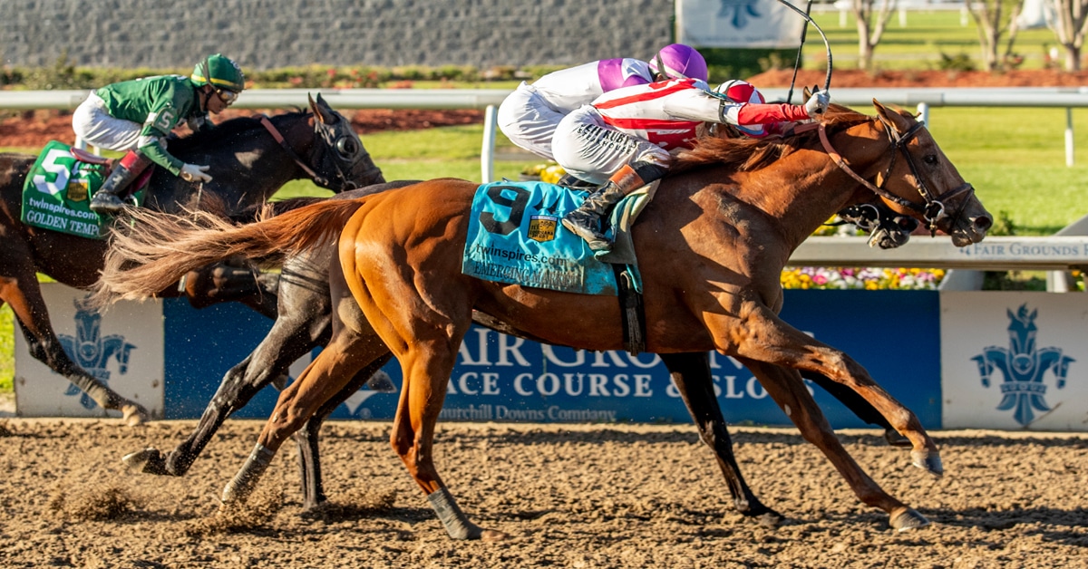 A jockey winning a race on a chestnut racehorse.