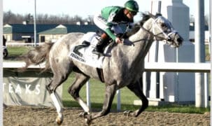 A grey horse winning a race on a dirt track.