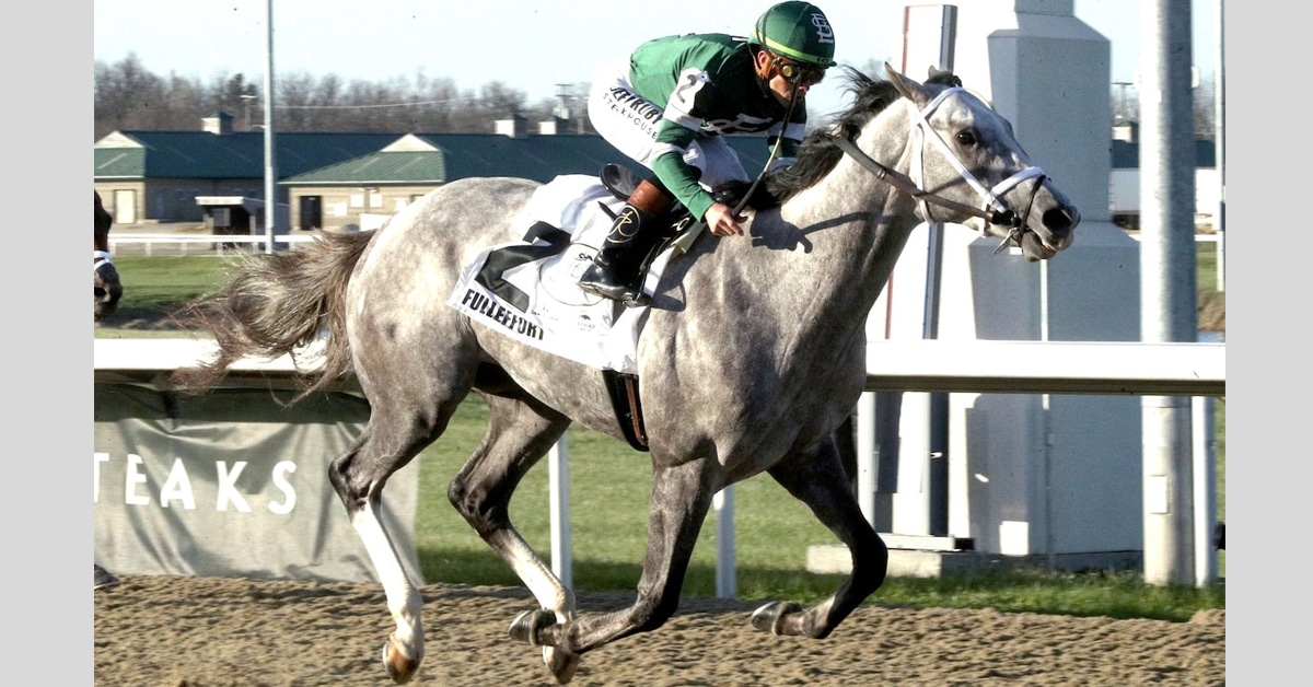 A grey horse winning a race on a dirt track.