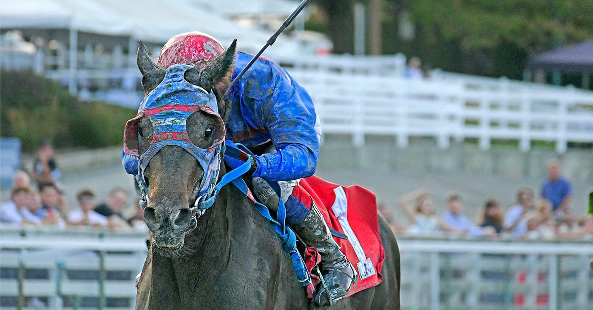 A bay horse racing in BC.
