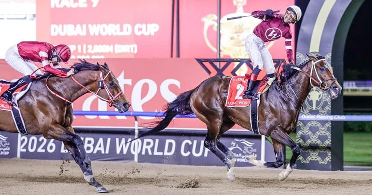 A bay horse winning a race in Dubai.