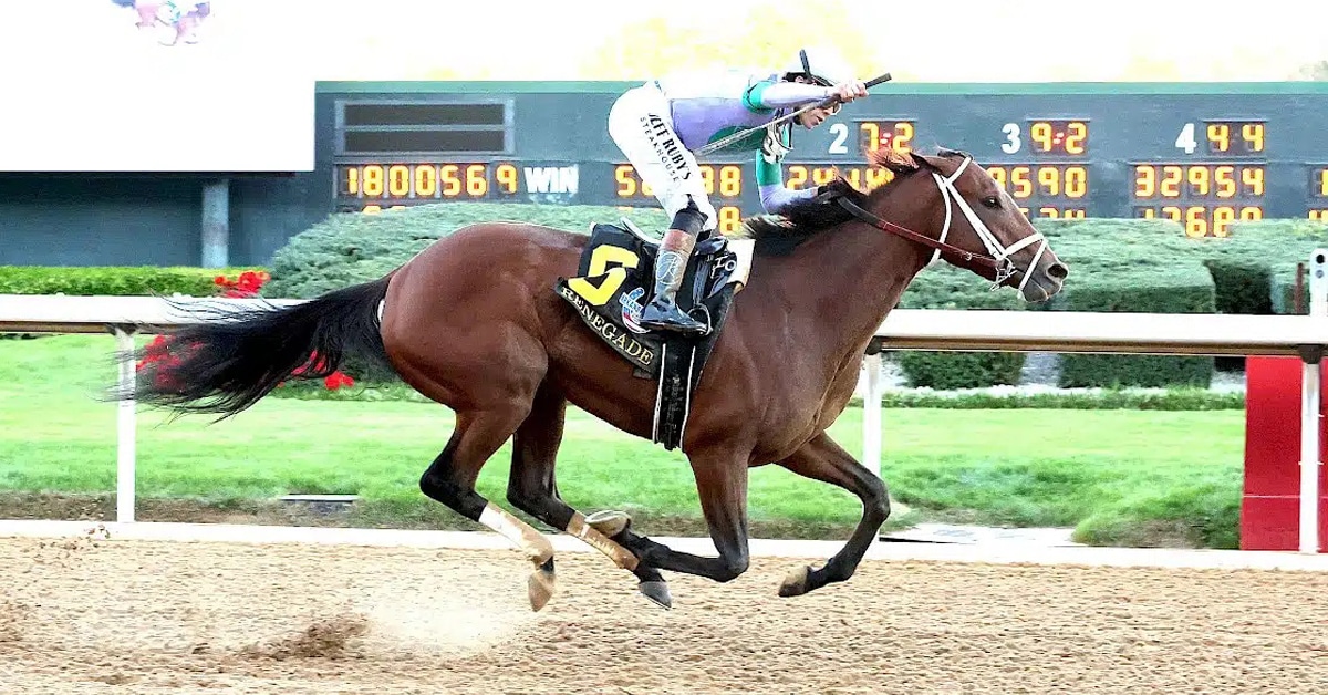 A bay horse winning a race in Arkansas.