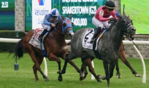 A grey horse winning a race on the turf.