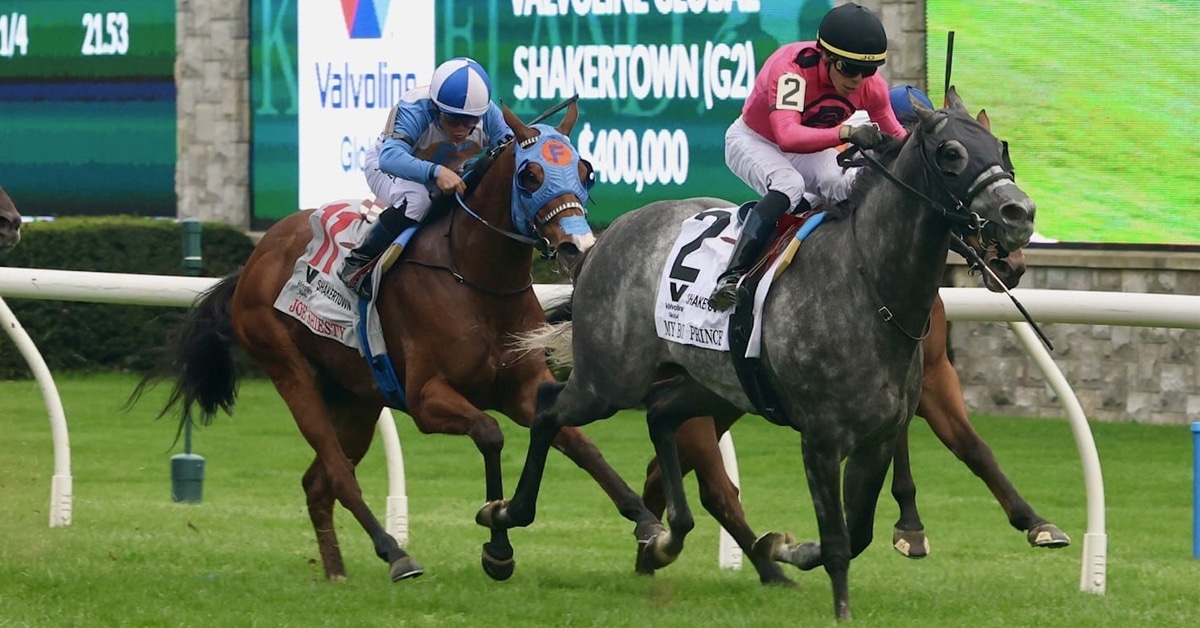 A grey horse winning a race on the turf.