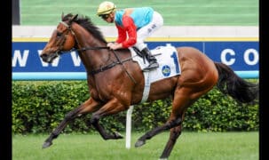 A bay horse winning a race at Sha Tin.